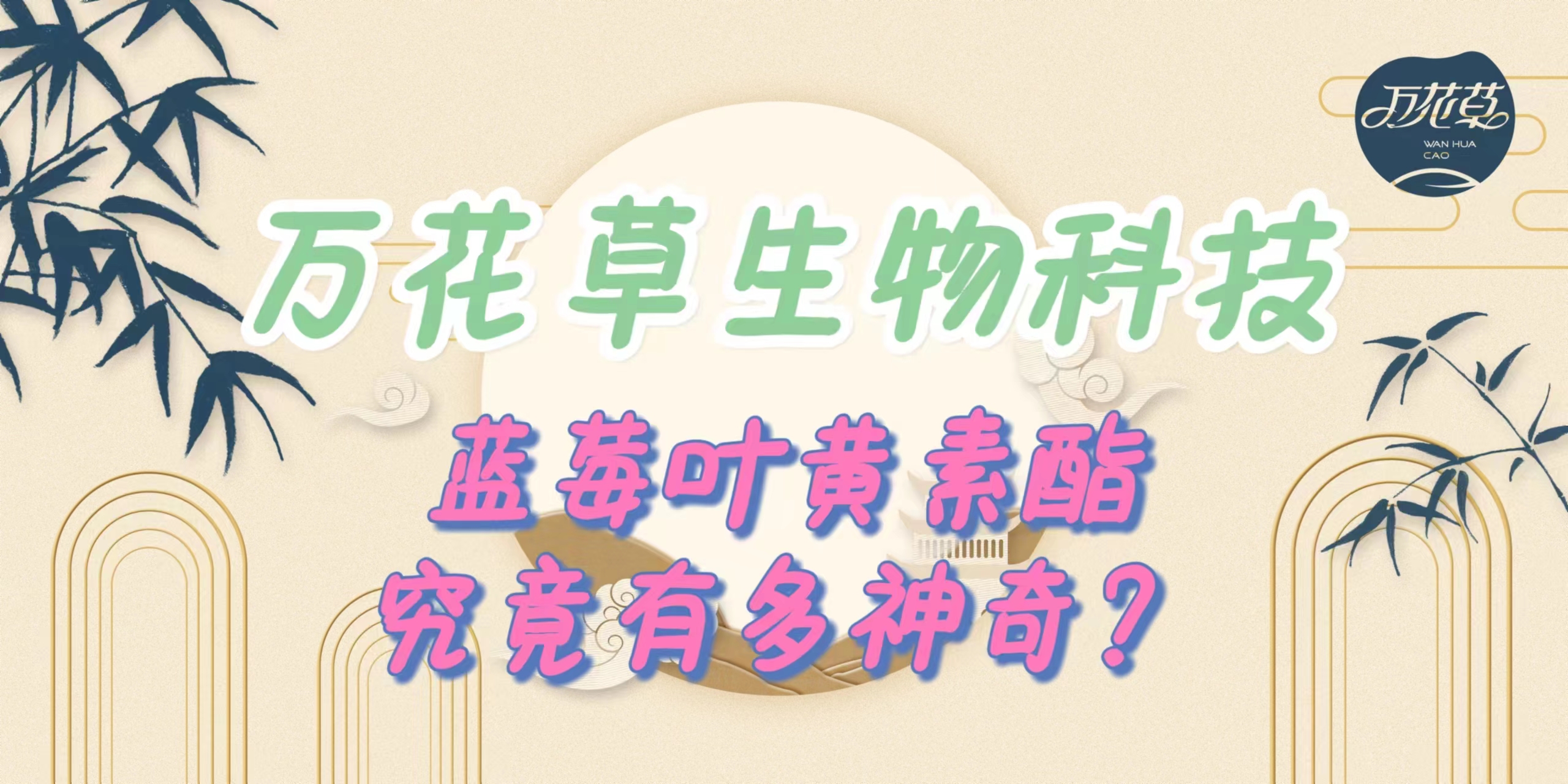 升級(jí)配方，重磅出擊，萬(wàn)花草藍(lán)莓葉黃素酯究竟有多神奇？