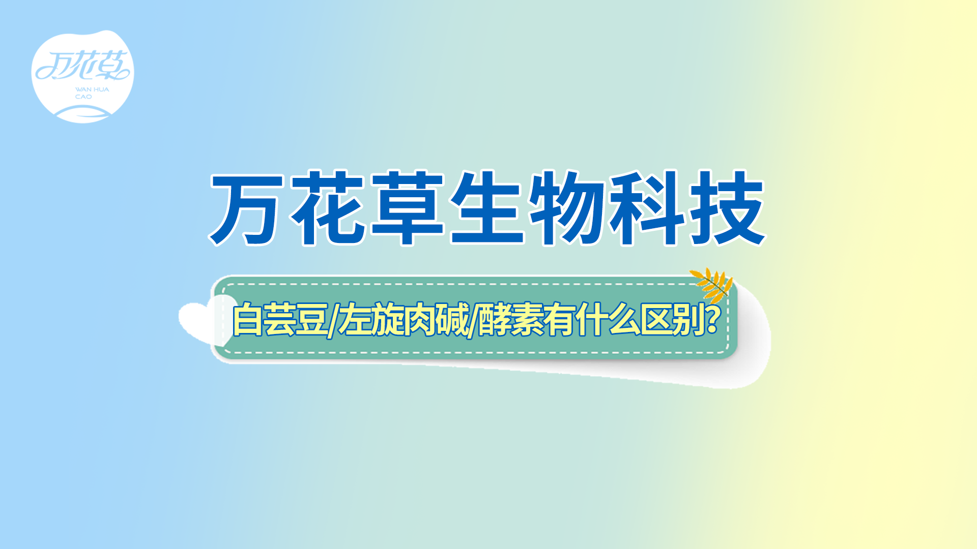 白蕓豆、左旋肉堿、嗨吃酵素有什么區(qū)別？