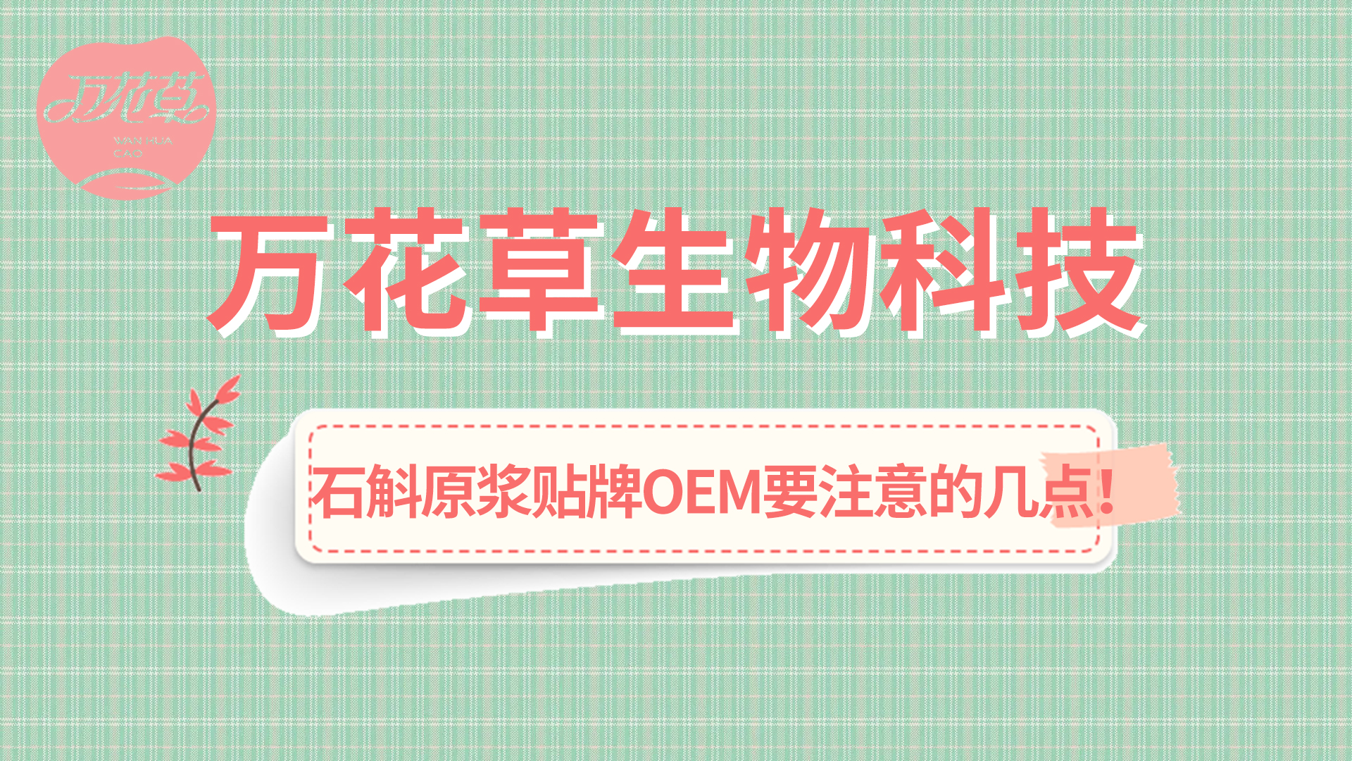 石斛原漿貼牌oem您需要注意哪幾點？